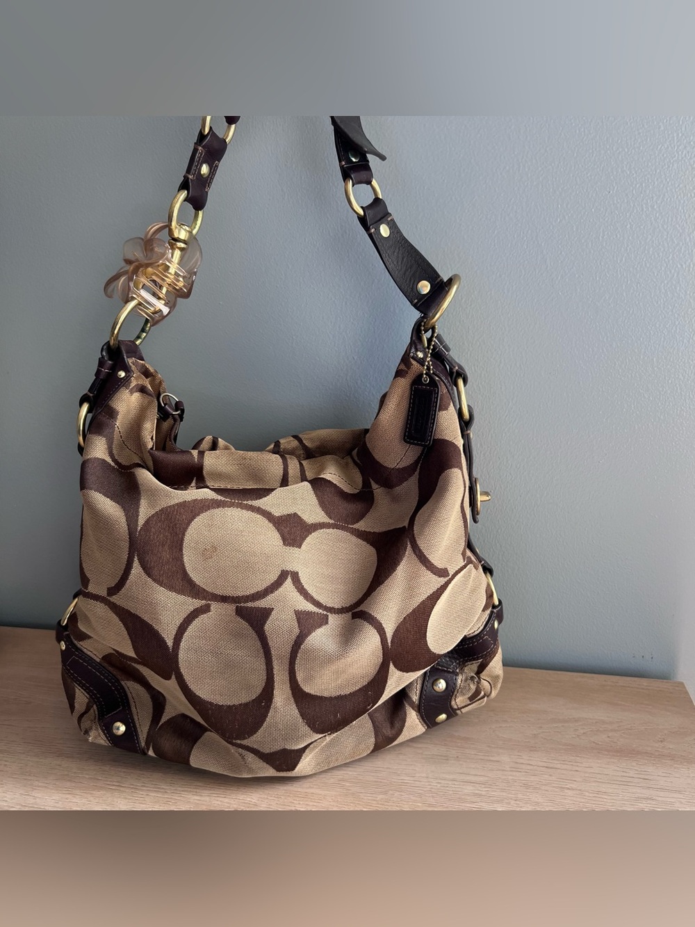 Coach Signature Carly Hobo Shoulder Bag